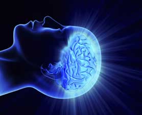 brain-278x225